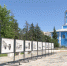 В областном центре открылась выставка архивных фотографий «Белгород: эпоха Победителей» - Belnovosti.Ru