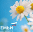 8 июля  – День семьи, любви и верности. - Управление ветеринарии