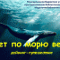 «Плывет по морю великан» дайвинг-путешествие - ЦБС г. Белгорода