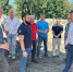 До конца года в белгородском ЦПКиО им. Ленина отреставрируют входную группу - Belnovosti.Ru