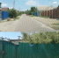 Контролёры ЦЭБа продолжают проверять качество вывоза мусора в Белгороде - Belnovosti.Ru