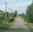 Сотрудники ЦЭБа продолжают контролировать вывоз ТКО в Белгороде - Belnovosti.Ru