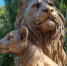 В Белгороде на въезде в зоопарк установили памятник льву Бонапарту - БелПресса