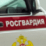Свыше 50 правонарушений пресекли сотрудники Росгвардии в Белгородской области - Росгвардия