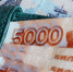 Со счёта белгородки списали более 150 тысяч рублей за то, что её собака покусала мальчика - БелПресса