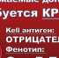Жителей Белгородской области попросили сдать кровь - Мир Белогорья