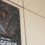 В Белгороде открыли мемориальную доску в честь героя СВО Вадима Смолякова - Belnovosti.Ru