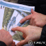 Что нового появится в белгородском парке им. В.И. Ленина? - Belnovosti.Ru