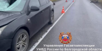 В Валуйском округе водитель иномарки сбил пешехода - БелПресса