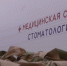 Мобильный стоматологический комплекс принял бойцов спецотряда «БАРС-Белгород» - БелПресса