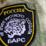 Вячеслав Гладков сообщил о вступлении своего заместителя в спецотряд «БАРС-Белгород» - БелПресса