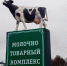 Белгородские энергетики подключили к сетям новый молочный комплекс - Fonar.Tv
