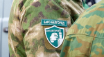 Гладков объяснил, почему чиновники активно идут в «БАРС-Белгород»