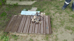До десяти выросло число уничтоженных над Белгородчиной беспилотников ВСУ 22 ноября