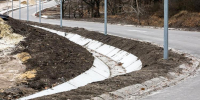 Белгородские власти не будут расширять «Олимпию», чтобы не вырубать 2 тысячи деревьев - БелПресса