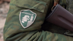 «Назад не отступим»: боевая подготовка отряда «БАРС-Белгород»