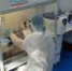 Более 2,5тысяч проб субпродуктов и мяса индейки исследовано специалистами Белгородской испытательной лаборатории с начала года - ФГБУ Белгородская МВЛ