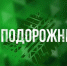На телеканале «Россия 24 Белгород» состоялась премьера выпуска программы «Подорожник», посвящённого правилам дорожного движения. - ГИБДД