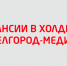 Вакансии в холдинге «Белгород-медиа» - Belnovosti.Ru
