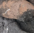 В Губкинском округе нашли 100-килограммовую авиабомбу - БелПресса