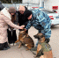 JPG Файл - УМВД Белгородской области