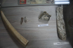Историко-краеведческий музей Стрелецкой школы обрёл новый дом