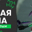 Лучшие белгородские дроноводы - Belnovosti.Ru