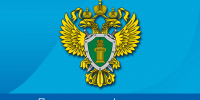 Уголовное дело о незаконном приобретении и хранении наркотических средств и хранении боеприпасов возбуждено в отношении ракитянца. - Ракитянский район