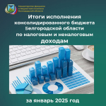 Итоги исполнения консолидированного бюджета области по налоговым и неналоговым доходам за январь 2025 года