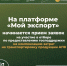 Белгородские экспортёры смогут принять участие в отборе по предоставлению господдержки на компенсацию затрат на транспортировку продукции АПК - Минсельхоз Белгородской области