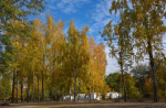Белгородские предприниматели в сфере туризма могут получать финансовую поддержку