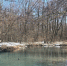 Воздух прогреется до 12 градусов тепла в Белгородской области 7 марта - Сетевое издание Знамя 31