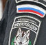 Белгородские браконьеры, застрелившие оленя, нанесли охотничьему фонду 210 тысяч ₽ ущерба - БелПресса