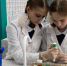 Оскольский филиал ЦЕМРОСа открыл профильный класс химии - БелПресса