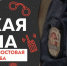 По итогам 2024 года Белгородская область вошла в топ-10 регионов с самой низкой преступностью - Belnovosti.Ru