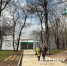 В Белгороде приступили к завершающему этапу реконструкции Центрального парка им. Ленина - Belnovosti.Ru