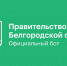 Вячеслав Гладков сообщил о старте работы чат-бота для помощи жителям Ракитянского и Краснояружского районов - Мир Белогорья