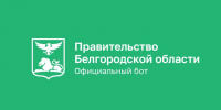 Вячеслав Гладков сообщил о старте работы чат-бота для помощи жителям Ракитянского и Краснояружского районов - Мир Белогорья