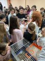 Проведение профориентационных смен на весенних каникулах