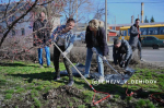 Больше 900 человек вышли на городской субботник в Белгороде