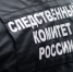 Житель города Валуйки осужден к лишению свободы за применение насилия в отношении сотрудника полиции и его оскорблении - Следственный комитет