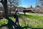 Белгородский госуниверситет присоединился к субботнику