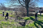 Белгородский госуниверситет присоединился к субботнику