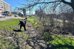 Белгородский госуниверситет присоединился к субботнику