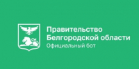 Вячеслав Гладков: чат-бот для помощи краснояружцам и ракитянцам уже принял 450 запросов - Мир Белогорья