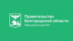 Вячеслав Гладков: чат-бот для помощи краснояружцам и ракитянцам уже принял 450 запросов