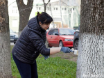 На субботнике в Белгороде / Фото: Елена Журавлёва (архив)