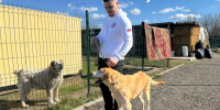 Отделение СФР по Белгородской области передало более 500 кг гуманитарной помощи приюту для бездомных животных. - Ракитянский район