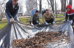 В Белгородской области стартовал экологический флешмоб
