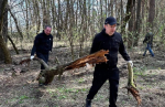 Сегодня сотрудники Облизбиркома присоединились к большому областному субботнику